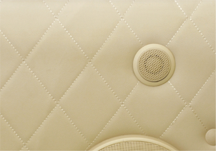 车厢两侧豪华款饰板（压线面）